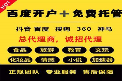 行业翘楚的sem代运营机构：成功案例解析
